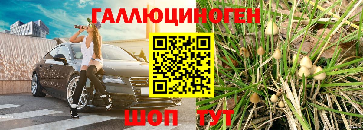 Саяногорск  Псилоцибиновые грибы Magic Shrooms  Вход с VPN 