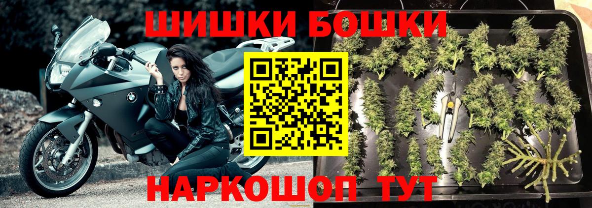 Каннабис марихуана  Бошки Шишки план  МАРИХУАНА ГИДРОПОН  Саяногорск  Вход с VPN 